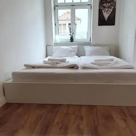 Pineapple Apartments Dresdner Heide mit Garten Appartement Dresden